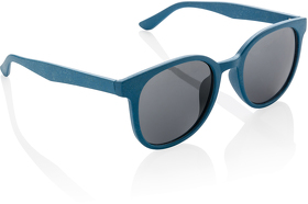 Солнцезащитные очки ECO (XP453.915)