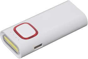 Зарядное устройство с LED-фонариком и подсветкой логотипа, 4400 mAh (E7450-4)