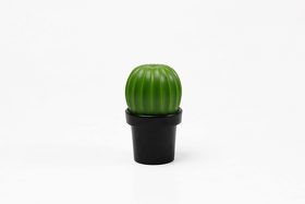 МЕЛЬНИЦА ДЛЯ СПЕЦИЙ Tasty Cactus (RQL10252-BK-GN)