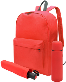 Подарочный набор CAPYBARA, красный (R54156.05)