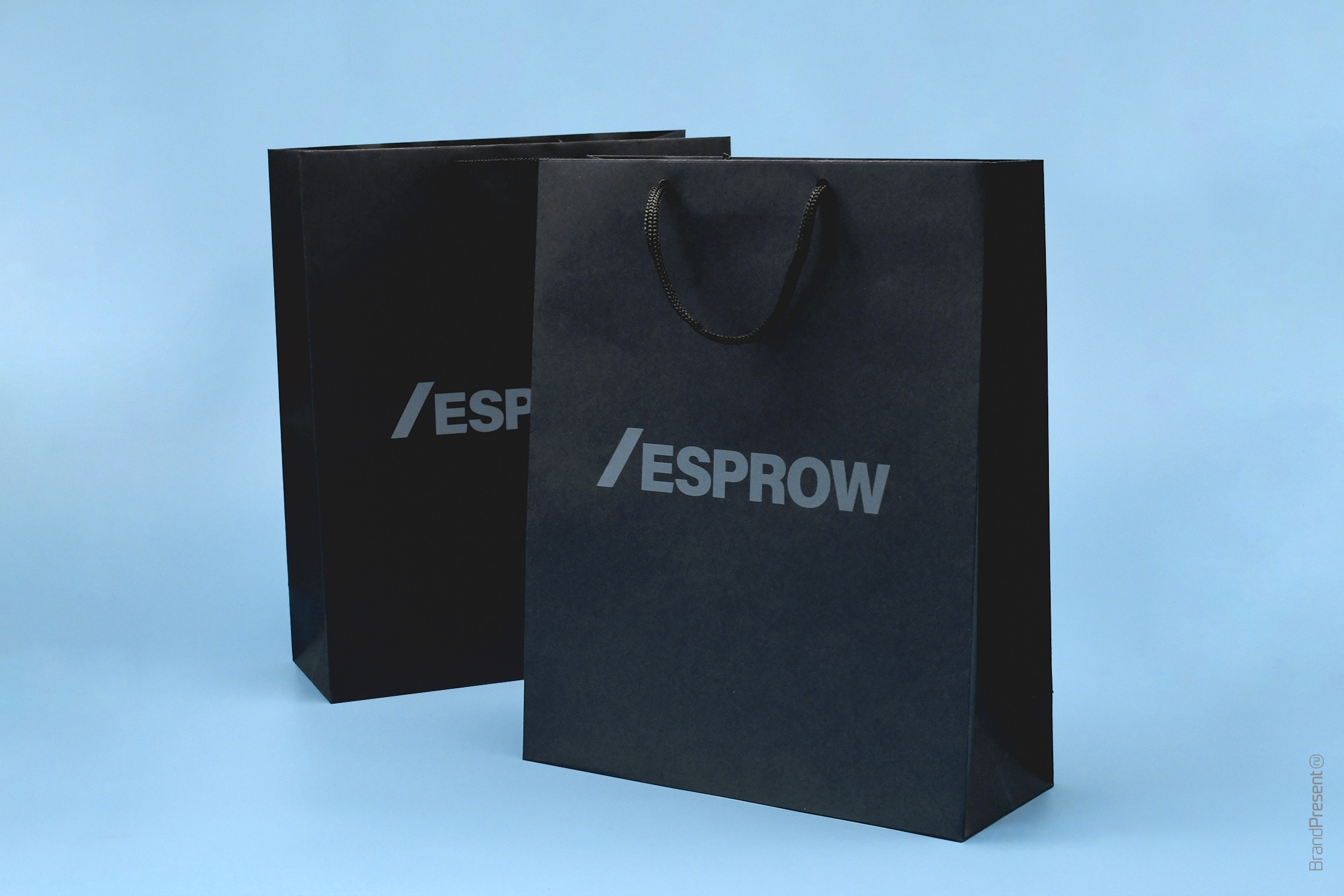 Подарочный пакет Wide для Esprow (Фотография 1)