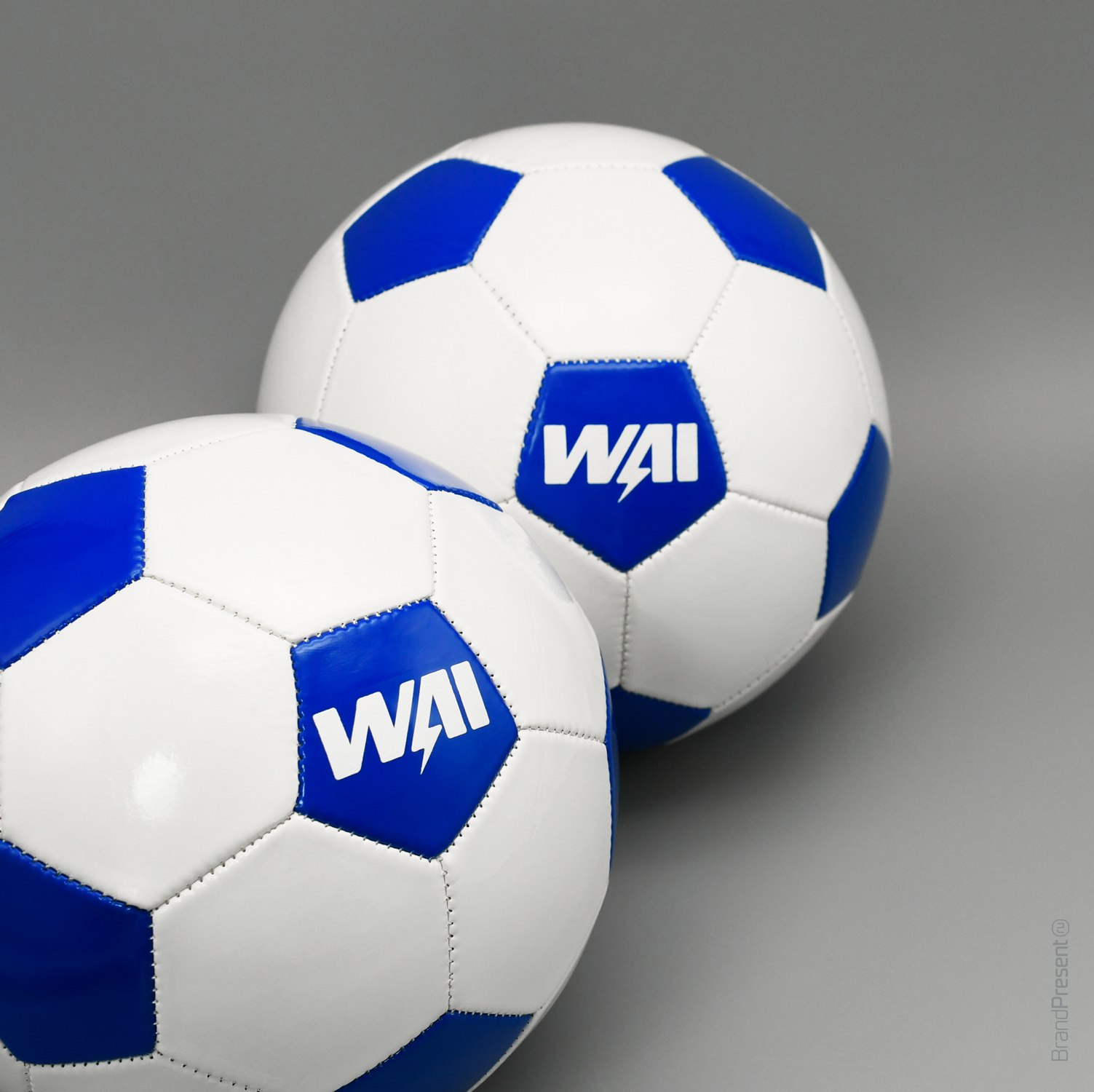 Мячи и шейкеры для WAI (Фотография 1)