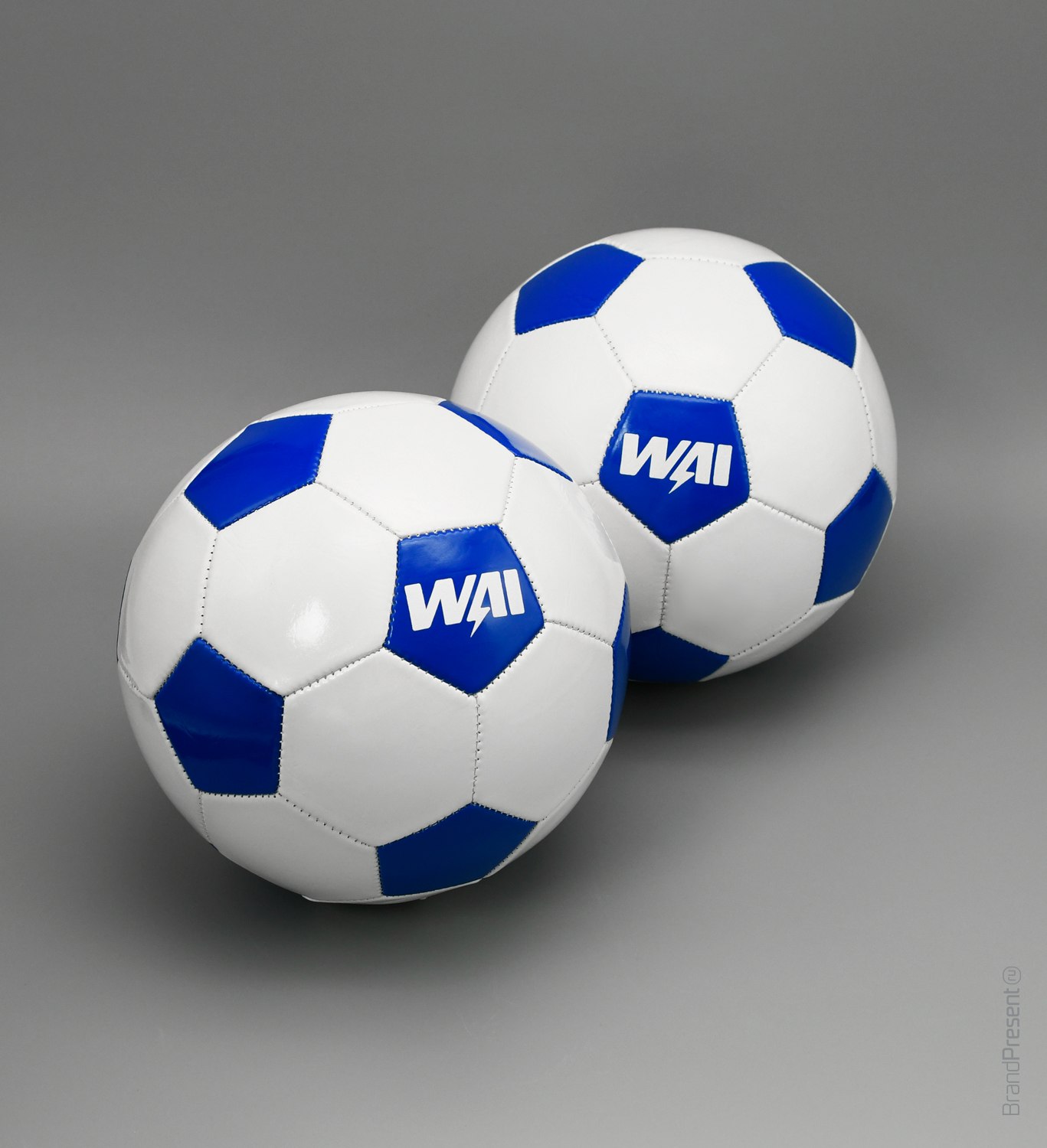 Мячи и шейкеры для WAI (Фотография 3)