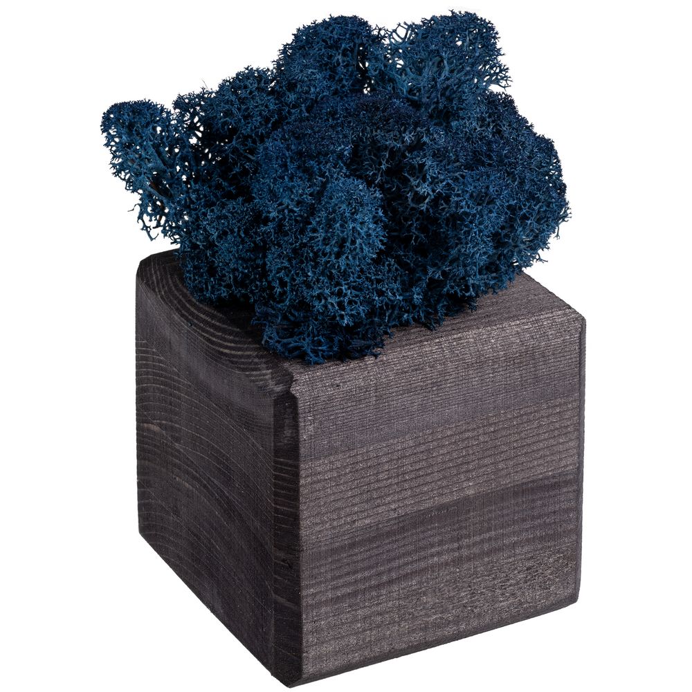 Cube под. Декоративный куб. Синий куб. Мох декоративный голубого цвета. Купить куб черный декоративный.