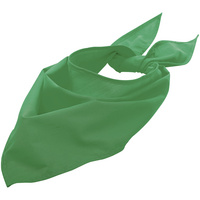 P01198272TUN - Шейный платок Bandana, ярко-зеленый