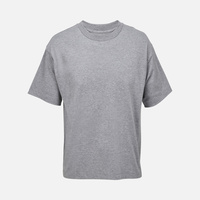 Футболка оверсайз унисекс Legacy, серый меланж (P03996360)