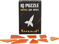 P12108.10 - Головоломка IQ Puzzle, ракета