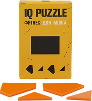 P12110.03 - Головоломка IQ Puzzle Figures, прямоугольник