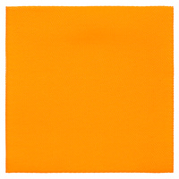 Лейбл тканевый Epsilon, L, оранжевый неон (P13942.22)
