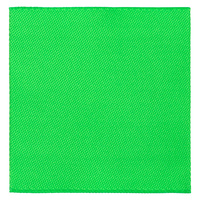 Лейбл тканевый Epsilon, L, зеленый неон (P13942.94)