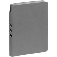 Ежедневник Flexpen Color, датированный, серый (P15061.10)