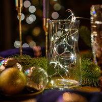 Гирлянда Pixies, светодиодная (P15588)