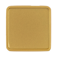 P16251.00 - Квадратный шильдик на резинку Epoxi, матовый золотистый