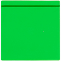 Лейбл из ПВХ Kare, зеленый неон (P16555.94)