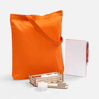 Набор Colorifica, оранжевый (P18653.62)