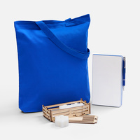 Набор Colorifica, синий (P18653.64)