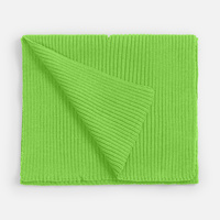 Шарф Yong, светло-зеленый (салатовый) (P20511.90)