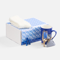 Набор Sockshire, синий (P20591.40)