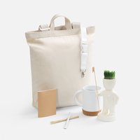 Набор Eco Sapiens Headman (P20622.06)