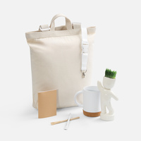 Набор Eco Sapiens Buddy (P20622.60)