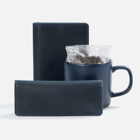 Набор inStream Tea, синий (P20703.40)