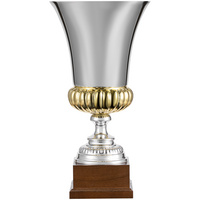 Кубок Erfolg, серебристый (P20764.10)