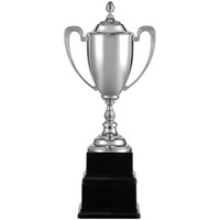 Кубок Grandee, серебристый (P20772.10)