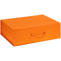 Коробка Big Case, оранжевая (P21042.20)