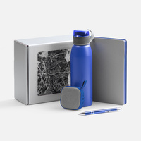 Набор Flexpen Flow, серый с синим (P22322.41)