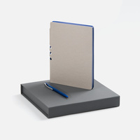 Набор Flexpen Grey, синий (P22421.14)