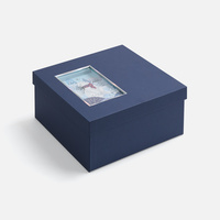 Коробка The Blue Bear, M (P24002.40)