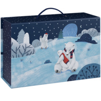 Коробка Polaria (P24015)