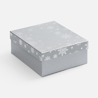 Коробка Wintry, серебристая (P25022.10)