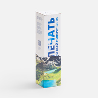 Коробка с полноцветной печатью для термоса Plain 1000 (P25100.08)