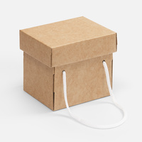 Коробка Kitbag, ver.2, крафт (P25174.00)