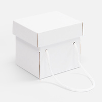 Коробка Kitbag, ver.2, белая (P25174.60)