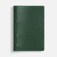 Ежедневник inStream, недатированный, зеленый (P25551.90)