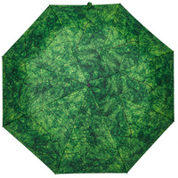 Зонт складной Evergreen (P70125.90)