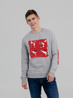 Толстовка «Яжопытный», серый меланж (P70581.11)