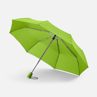 Зонт складной AOC, зеленое яблоко (P7106.94)