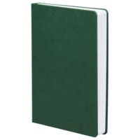 Ежедневник Basis, датированный, зеленый (P2842.90)