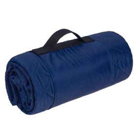 Плед для пикника Comfy, ярко-синий (P3368.44)