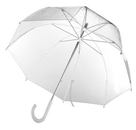 Прозрачный зонт-трость Clear (P5382.60)